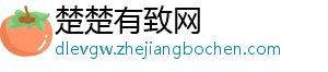 “00后”CEO李昕泽：了解互联网的人太少 所以能理解质疑-楚楚有致网